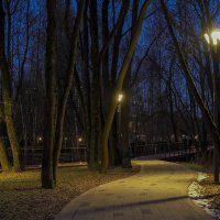 Вечерний Город :: юрий поляков