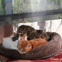 Семья :: Вадим Семья :: Вадим