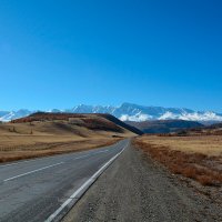 Северо-Чуйский хребет :: Валерий Медведев