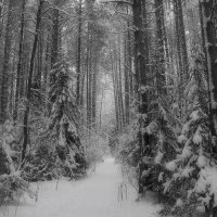 а вот и снежок  выпал :: Владимир иванов