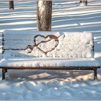 В зимнем парке... :: Aquarius - Сергей В зимнем парке... :: Aquarius - Сергей