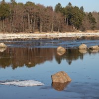 Весна 2025. Март :: Наталья Герасимова Весна 2025. Март :: Наталья Герасимова