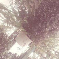 13  ОПЕН (762) :: OPEN WAYS ALL