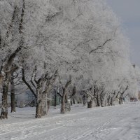 *** :: Виктор Иванович Чернюк