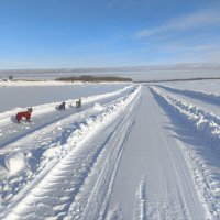 Зимник :: Anna Ivanova