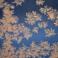 С добрым морозным утром ! :: Татьяна Лютаева С добрым морозным утром ! :: Татьяна Лютаева