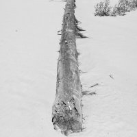 Фотография :: Денис Безногов