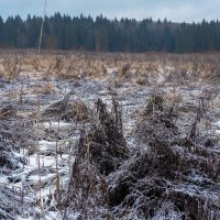 Подмосковные Пейзажи :: юрий поляков