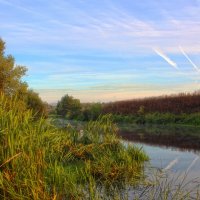 Утро. :: Александр. AVG100 --- Утро. :: Александр. AVG100 ---