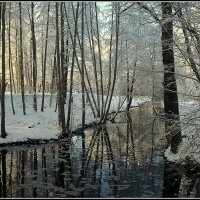 *** :: Aleksandr Gal