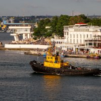 Артбухта Севастополя. :: Сергей Воротников
