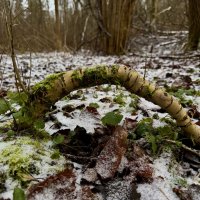 Загогулина. :: Любовь Загогулина. :: Любовь