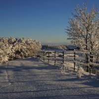 Красивый зимний день .. :: Татьян@ Ивановна