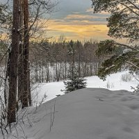 123 :: Александр Иванович Шитов