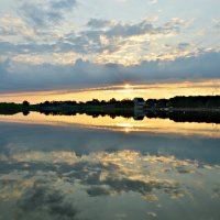 Солнышко купается в пруду... :: Надежда Куркина 