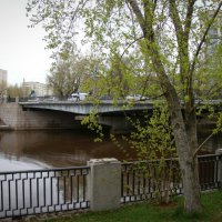 Весна 2025. Апрель :: Наталья Герасимова