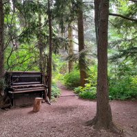 Пианино в кустах.. :: emaslenova Пианино в кустах.. :: emaslenova