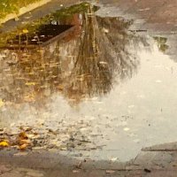 ***отражение в луже*** :: Olga Oskolkova