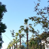 Навагинская улица Сочи :: Tata Wolf Навагинская улица Сочи :: Tata Wolf