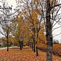 Аллея :: Veera V