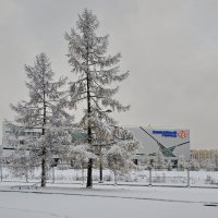 СКА :: Василий Богданов