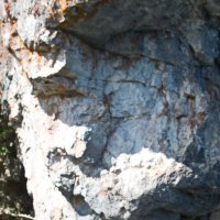 Любуется. :: ВикТор Быстров