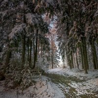 Дорожка :: Сергей Цветков