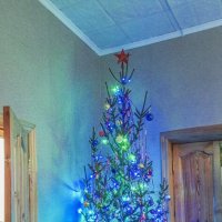 Новогодняя ель :: Юлия Денискина