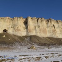 Природа Крыма :: Amazing Cosmea