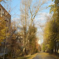 такой разный ноябрь :: Елена Шаламова