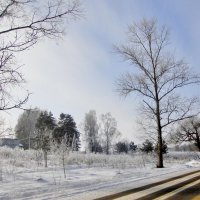 малоснежно... :: Галина Флора