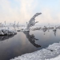 Зимние жители на прогулке :: Марина Фомина.