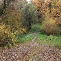 Ашманн парк, Калининград :: Рита Симонова