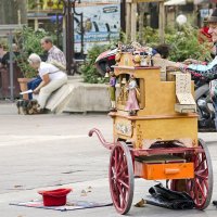 Старый шарманщик папа Карло :: Alexandеr P