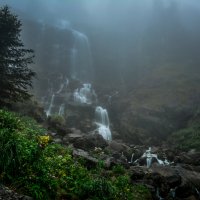 Волшебное место :: Лилия .