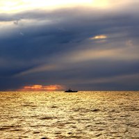 Перед ненастьем :: Валерий 