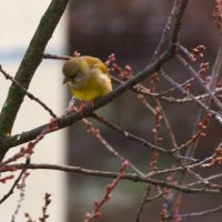 Интересно, что там внизу ?.. :: Юрий Куликов