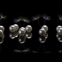 Жемчужный сад :: Игорь Шевченко