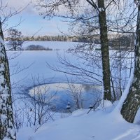 "И стоят берёзы в сонной тишине" :: Ирэн 