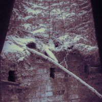 без названия :: fogmeadowww m