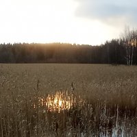 *** :: Ольга Попова (popova/j2011)