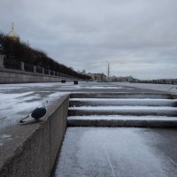 * :: Светлана Воробьева