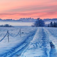 frosty morning :: Elena Wymann