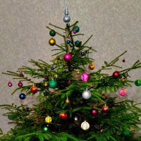 Дома тоже поставили) :: Галина Бобкина