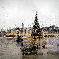 сегодня в Ногинске :: Любовь 