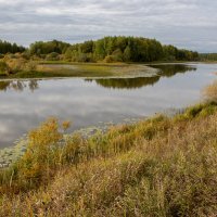 На лесном озере. :: Андрей Дурапов