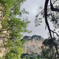 Турция :: Георгиевич 