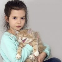 Мейн - кун - первая выставка :: Светлана Ищенко