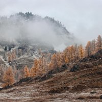 Туман в горах :: елена беликова