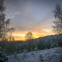 Зимнее утро :: Сергей Цветков